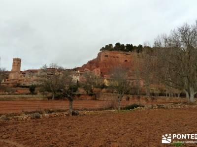 Hoces y cañones del Río Piedra y del Río Gallo -- Laguna Gallocanta - excursiones y senderismo;se